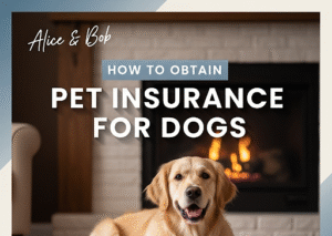 How to Obtain Pet Insurance for Dogs