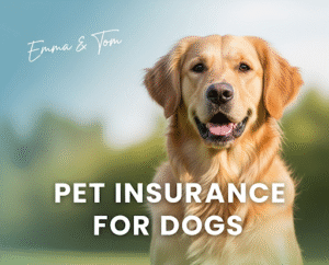 How to Obtain Pet Insurance for Dogs